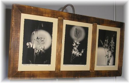 FLEURS DE NOS MONTAGNES - CARTES POSTALES ANCIENNES ET CADRE DECO BOIS