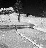 COL DE VARS - TRACES DU SKIEUR SOLITAIRE SOUS L'EYSSINA - retirage photo Machatschek (ca 1953)