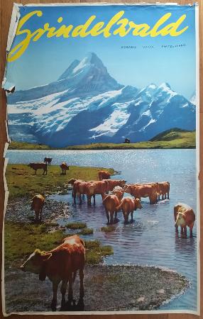 *** A SAISIR *** GRINDELWALD (Bachalpsee-Schreckhorn) - affiche originale photo Niederhauser (ca 1960)