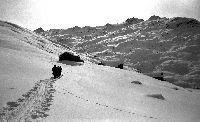 SKIEURS DANS LA VALLEE DES BELLEVILLE - ASCENSION VERS REBERTY - retirage photo originale (ca 1940)